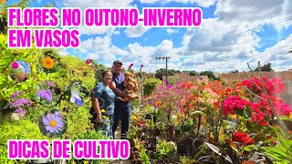 FLORES NO OUTONO-INVERNO: DICAS DE COMO TER FLORES O ANO TODO, CULTIVADAS EM VASOS | ADUBAÇÃO 