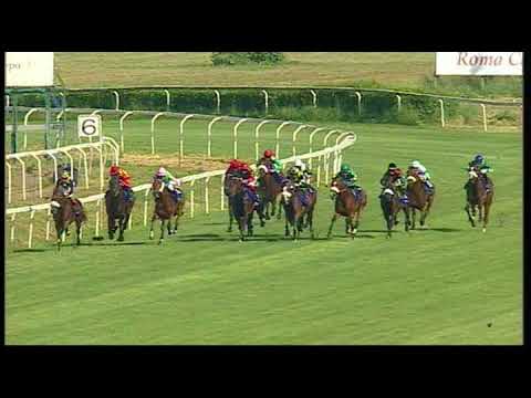 rm 20180429 05 p pariolishadwelliitris