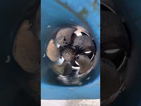 60 second boat survey (Ep112): Bow and stern thruster issues