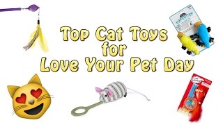 Top 5 Cat Toys For Love Your Pet Day