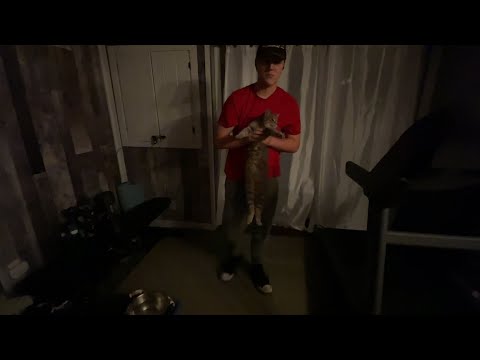 Fall Cut Day 29- Legs home gym