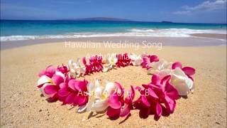 Hawaiian Wedding Song - Andy Williams || with lyrics (영어가사/한글번역)
