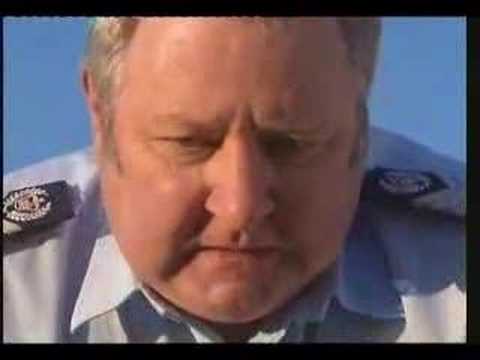 Blue Heelers - Boss 2