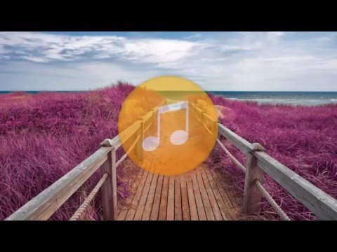 TheFatRat - Monody Ft. Laura Brehm (Chenbear Remix)