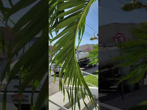 #roupa dia de Arcoverde Pernambuco Brasil