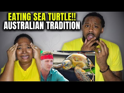 🇦🇺 The Demouchets REACT to Aboriginal Australians' Sacred Bungaroo Tradition (Eating Sea Turtles)