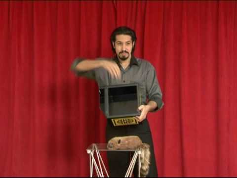 Vanishing & Appearing Dove Cage in a Cube