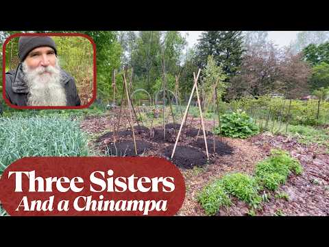 A Garden That Solves Its Own Problems | The Three Sisters And A Chinampa