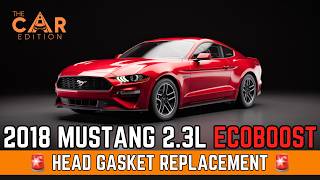 Blown Head Gasket? We Rebuilt This 2018 Mustang 2.3L EcoBoost + Timing Chain - The Car Edition