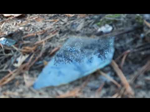 Arturs Nīmanis - Mūsu klātbūtne dabā (2022)