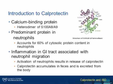 giardia calprotectin
