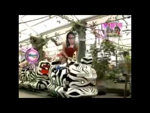 Mueve la cabeza o se te pone tiesa - Nace una estrella