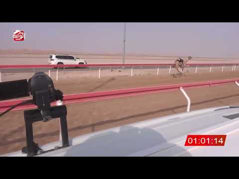 ش 13 (شاهين) لـ محمد صالح بن شليويح العامري 2:10:00 ، شارة الصندوق 2026/08/08 فطامين الوقن