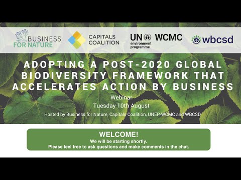 Adopting a Post-2020 Global Biodiversity Framework that Accelerates Action by Business - Session 2