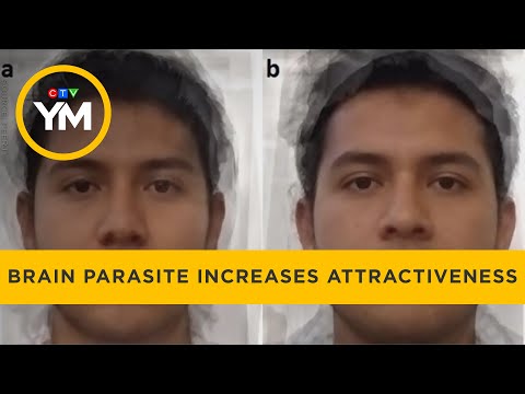 Brain parasite makes people appear more attractive | Your Morning