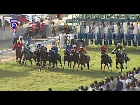 RM37 R8 - Good Buddy