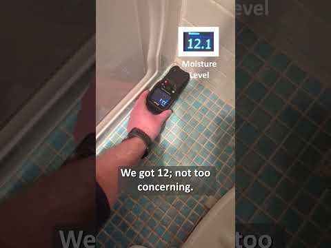 How Professionals Use Moisture Meters to Detect Hidden Causes of Leaks & Mold Growth