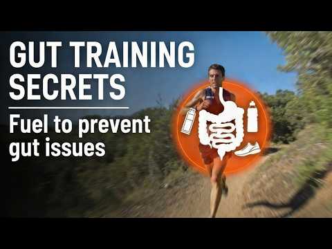 Daily Carb Fueling Guide: Build Your Gut for Better Endurance Performance