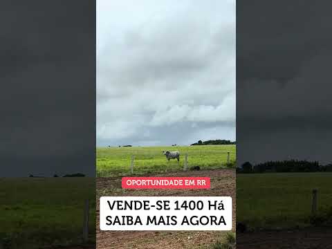 OPORTUNIDADE EM ALTO ALEGRE RORAIMA #roraima