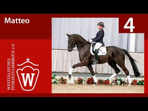 04 Matteo Wallach v. Millennium - Lugato