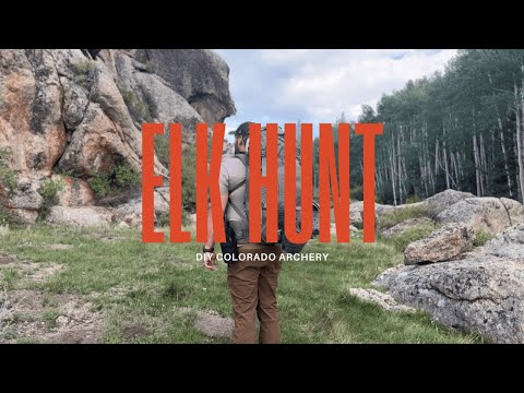Archery Elk Hunting Colorado | Public Land DIY Elk Hunt | 2024