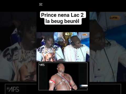 Prince veux Lac 2 #lamb