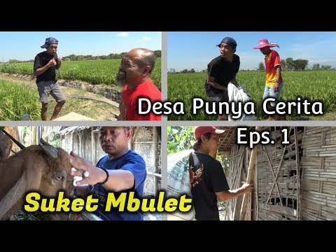 desa-punya-cerita-eps-1-suket-mbulet