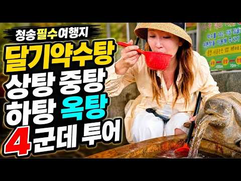 [온통청송] 물 한 모금에 톡 쏘는 탄산이? 수만 년 동안 암석이 숨겨둔 청송 달기약수터의 비밀