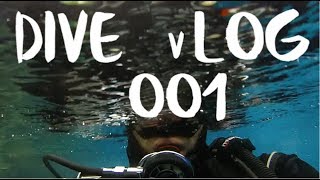Let's try this vlogging thing! | DIVE vLOG 001