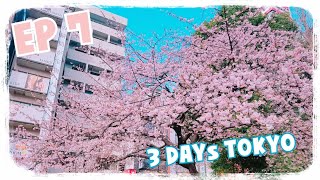 preview picture of video 'Travel Vlog 07 3 Days in Tokyo and Chusonji Temple'
