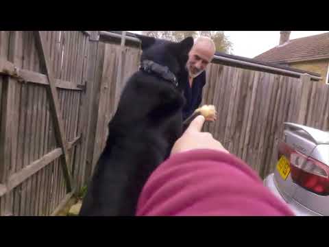 Trying to get Anisha in!