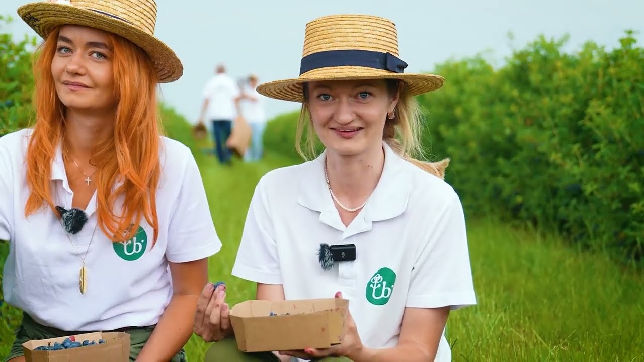 ȚARA DE LA ȚARĂ - Clusterul de ierburi aromatice HERBAFRUCT