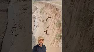 Macaquinho amigo do bode 😱