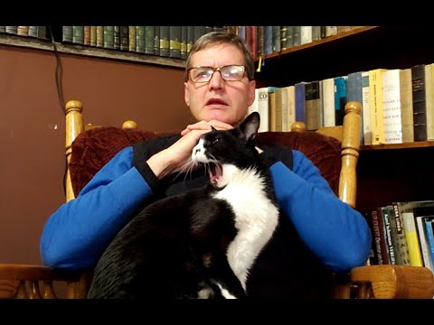 Why Studying Only 1 Foreign Language is Likely to be Counter Productive