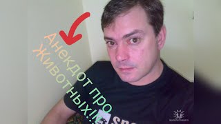 #Анекдоты, анекдот, новинка 2019г, про животных, юмор, анегдот, приколы, с субтитрами anekdot
