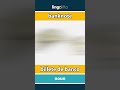 banknote - billete de banco video thumbnail