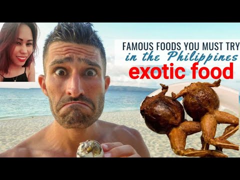BEST VACATION SPOTS IN THE PHILIPPINES. AND EXOTIC FOOD FOREIGNERS SHOULD TRY!