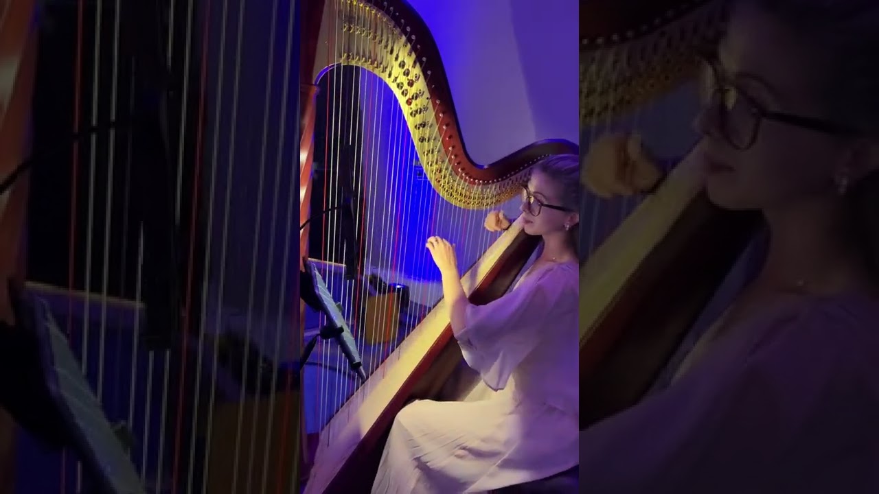 Promotional video thumbnail 14 for Harpist Karina
