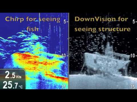 Dragonfly chirp downvision in Action