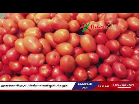 ஓசூர் தக்காளியும், பெண் பிள்ளைகள் பூப்பெய்தலும்!