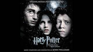 Harry Potter Score | A Window To The Past Suite