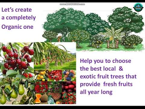 Sree Latha Fruit Forest English