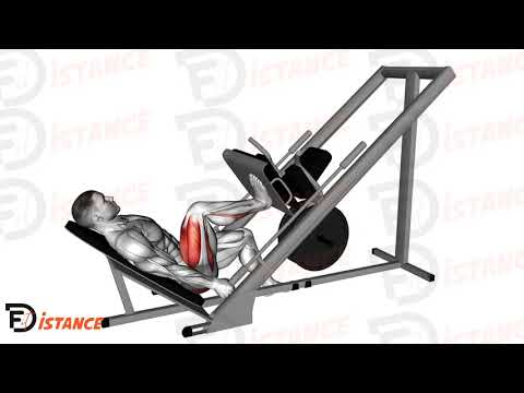 Presse à cuisse 45 degrés unilatéral - Exercice Presse à cuisse 45 degrés unilatéral en vidéo Presse à cuisse 45 degrés unilatéral - Exercice Presse à cuisse 45 degrés unilatéral en vidéo