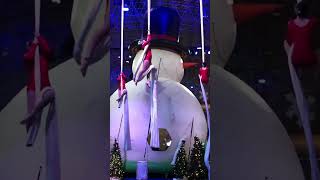 Winter Wonderland at Navy Pier, Chicago #winter #chicago #navypier #holidays #shorts