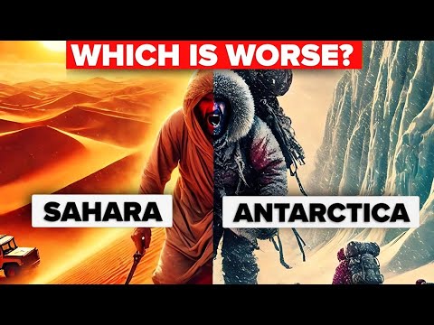 Antarctica vs. Sahara: Could You Survive a Year in These Extreme Climates?