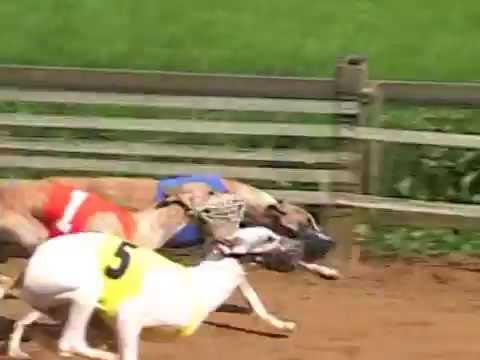 Deutsches Derby 2016