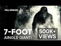 The 7 Foot Terror Of Cambodia S Jungle Expedition X Full Episode Discovery Channel