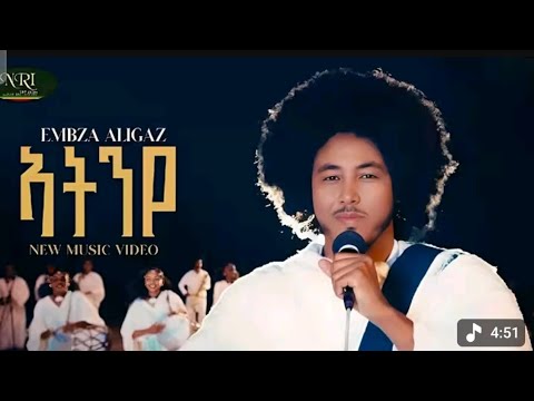 ነብሲሄር  ስነ ጥበባዊ ቪቶርዮEmbza Aligaz ( Atnye ) እምብዛ ኣሊጋዝ ( ኣትንየ ) New Tigrigna Music 2025 [Official Vide