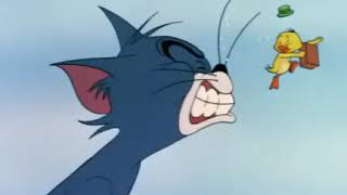Tom và Jerry - Đi hướng Nam đi(southbound duckling, Viet sub)