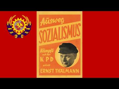 Der Rote Wedding | Красный Веддинг (2 вариант)